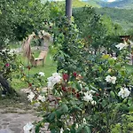 Disha * Tirana