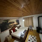 Disha Tirana
