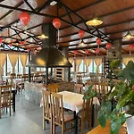 Disha Tirana
