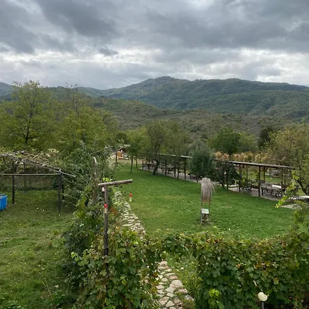 بيت خشبي Disha