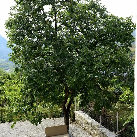 Disha Lodge