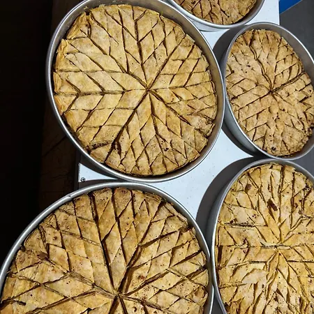 Disha * تيرانا