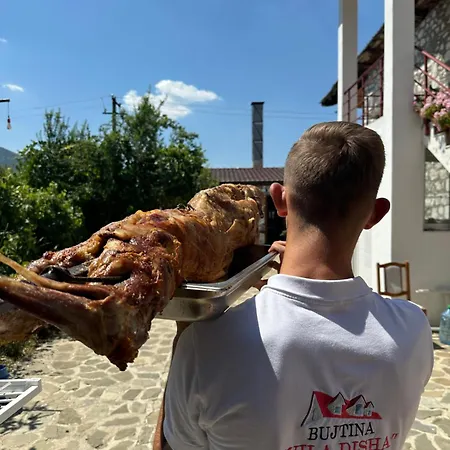 Disha * تيرانا