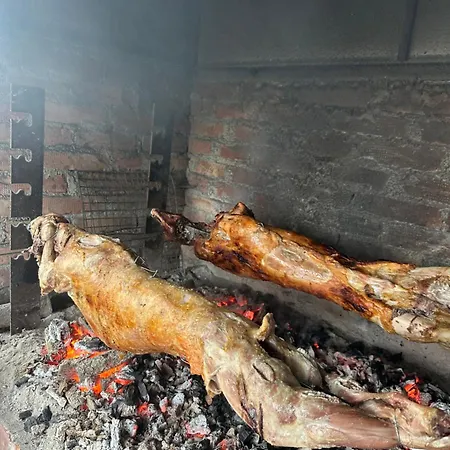 Disha * تيرانا