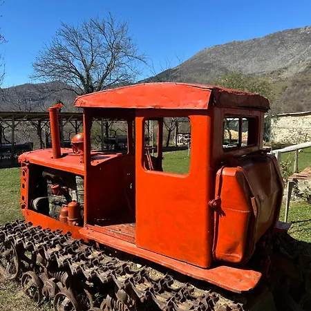 بيت خشبي Disha تيرانا