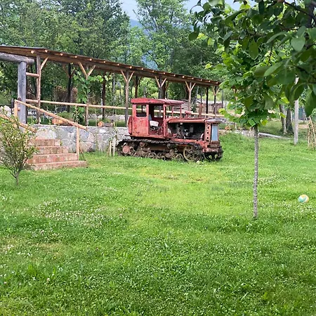 Lodge Disha Tirana