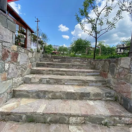 Disha Lodge