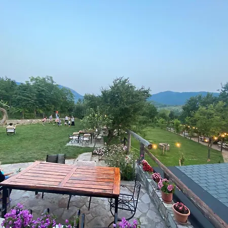 Disha Tirana