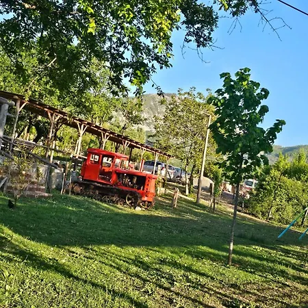 Domek letniskowy Disha