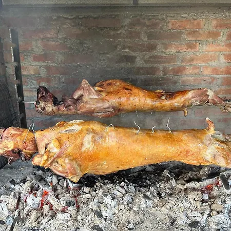 Disha 山林小屋 *