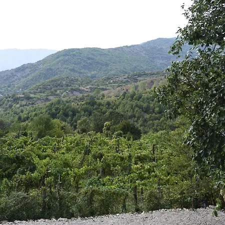 Lodge Disha Tirana