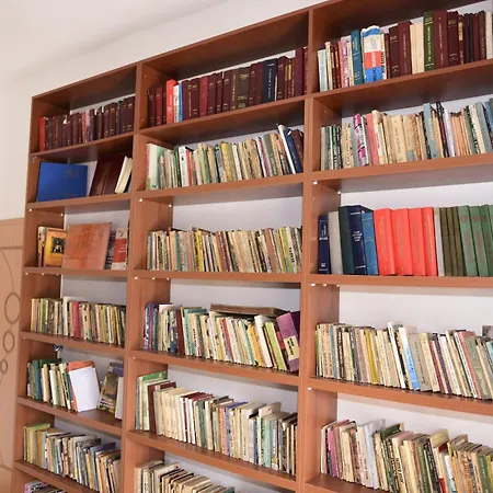Disha Lodge Tirana