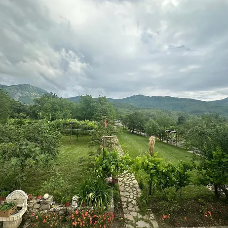 Disha Tirana