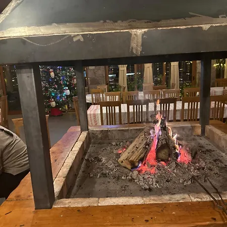 Disha * ティラナ