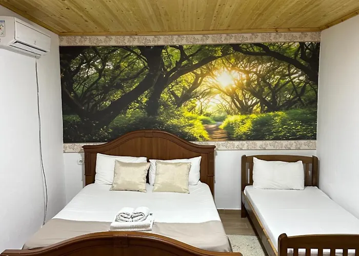 Disha 山林小屋 地拉那